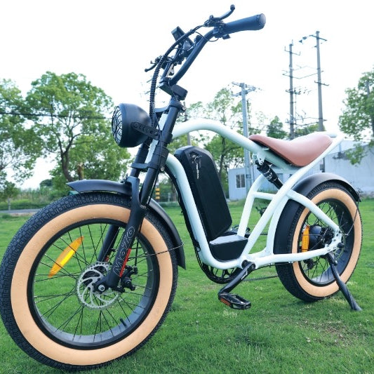 500W electric bike with 48V 15Ah removable battery