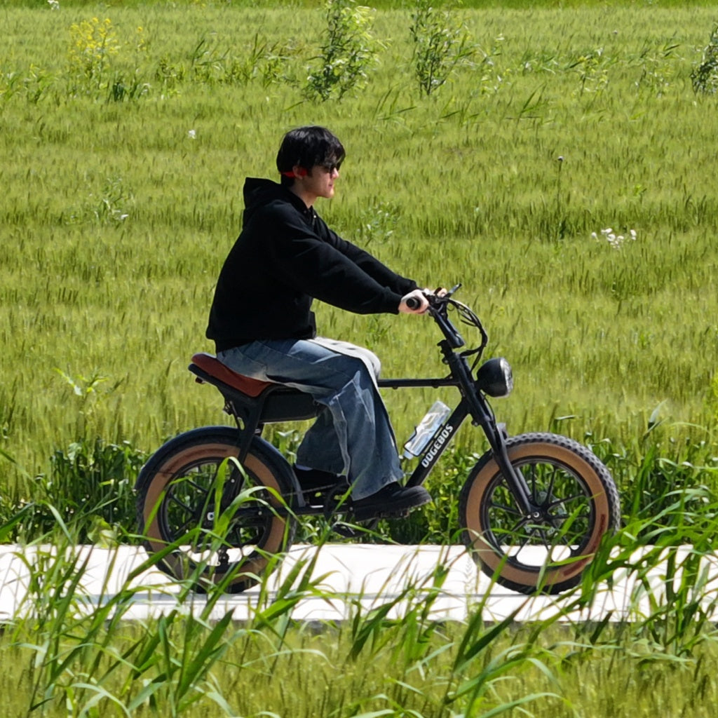 Ride E3 fat tire bike on a wheat field