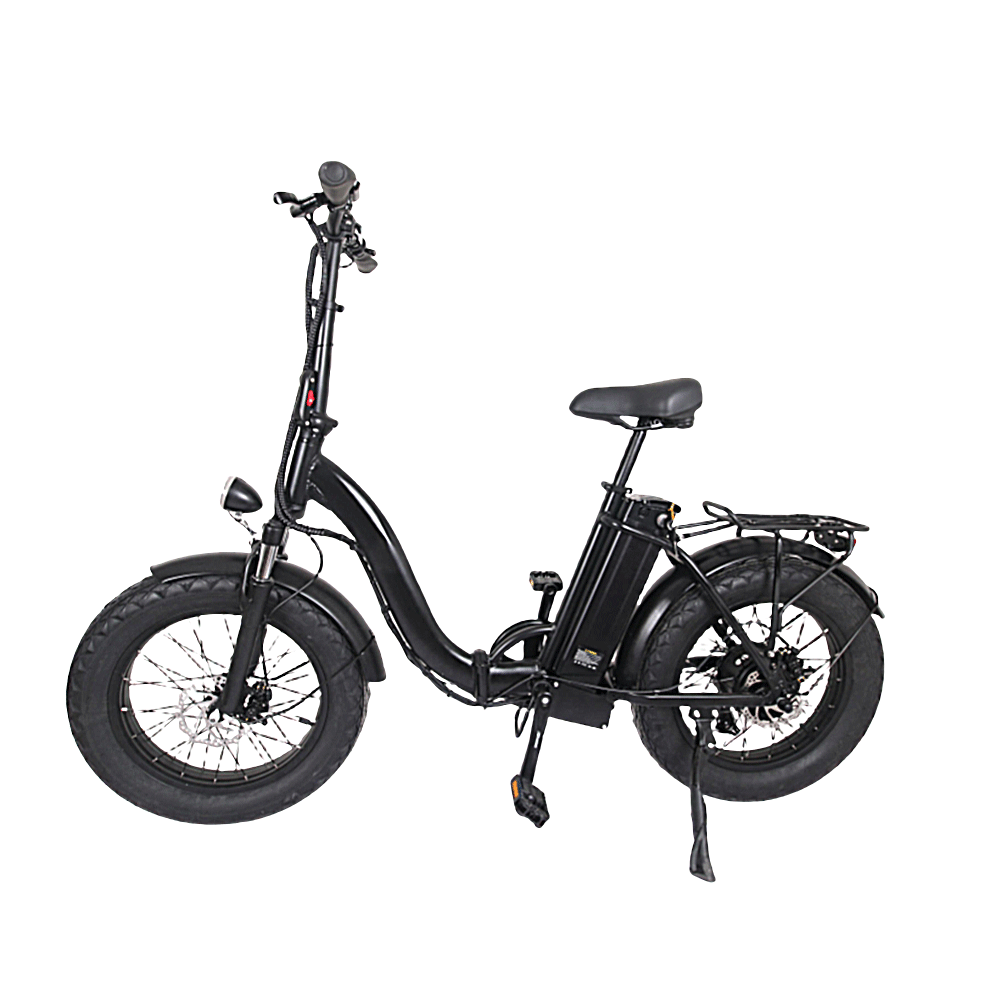 F20 Electric Bike