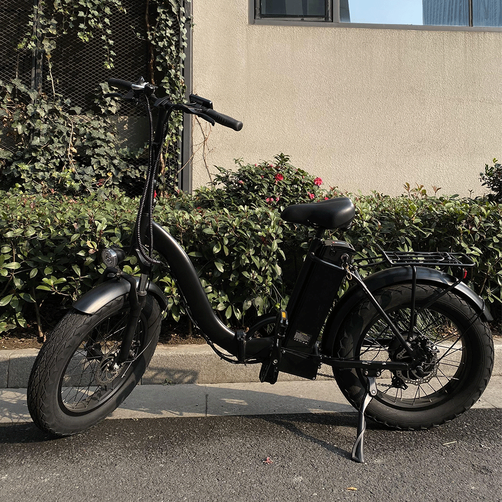 F20 Electric Bike