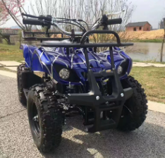 500-800W electric ATV quad, 36V 12Ah, kids 4-wheeler