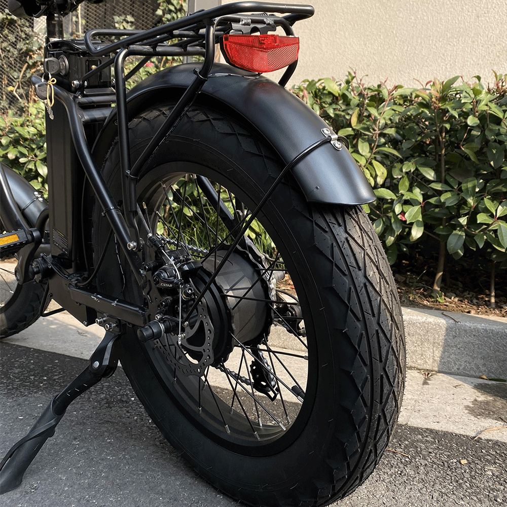 F20 Electric Bike