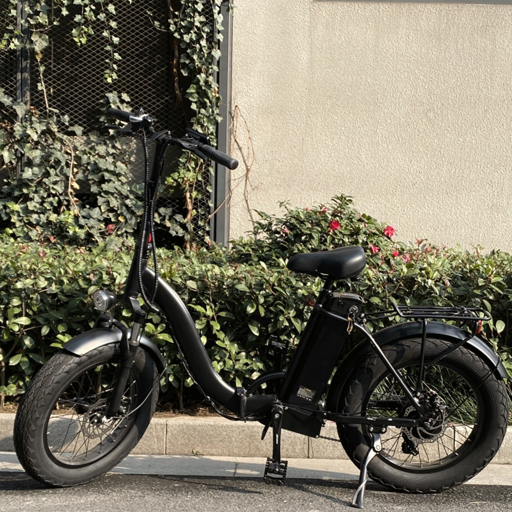 F20 Electric Bike