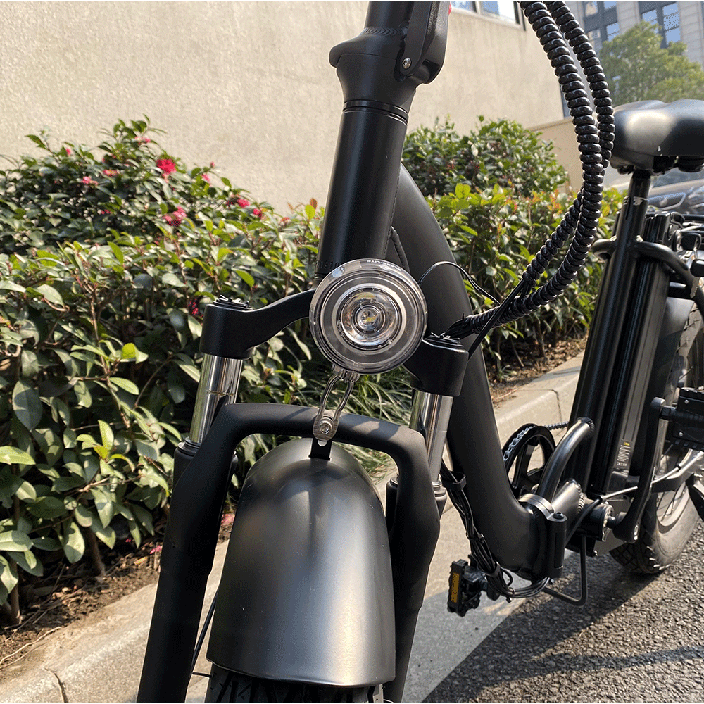 F20 Electric Bike