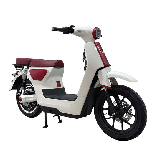 Moka Pedal Scooter
